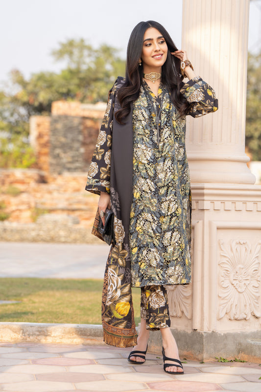 Lazer Cut Embroidered Dress with Pashmina Shawl TW8