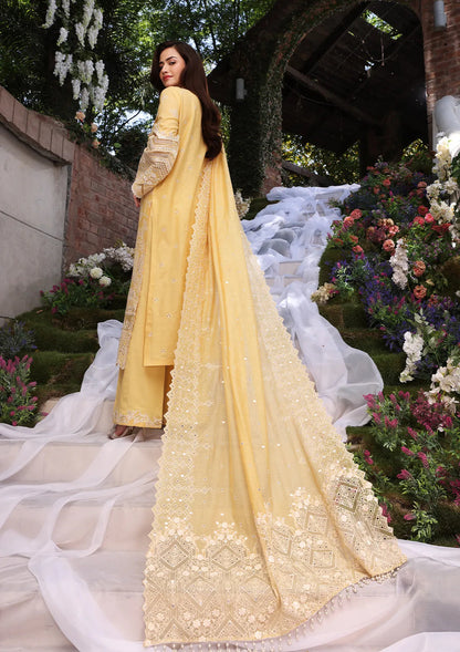 Elaf Chikankari Festive - ECF-01