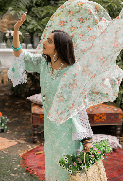 Adan Libas Chikankari - 1